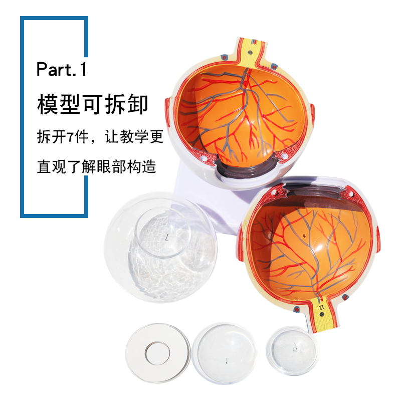 眼球儀1.png
